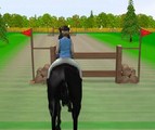 Horse jumping