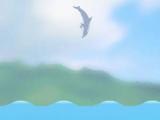 Jeux de dauphin