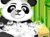 Soin d'un panda