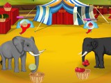 Eléphants au cirque