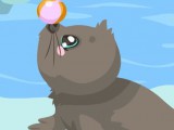 Mon phoque mignon