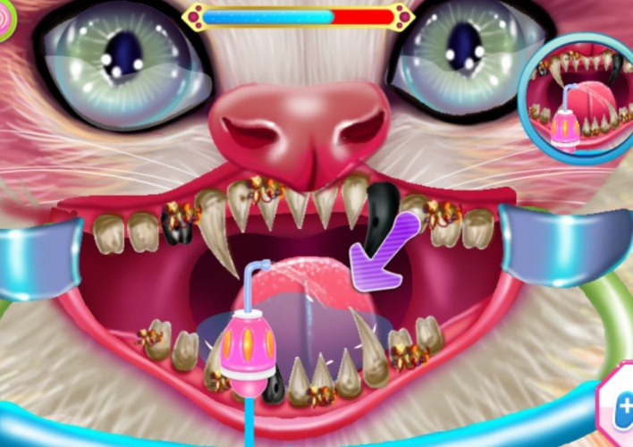 Les dents de mon chat