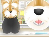 Animaux de luxe